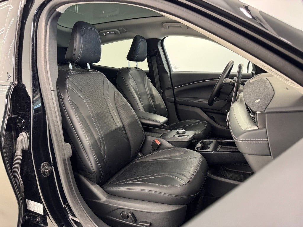 Ford Mustang Mach-E RWD Rango extendido