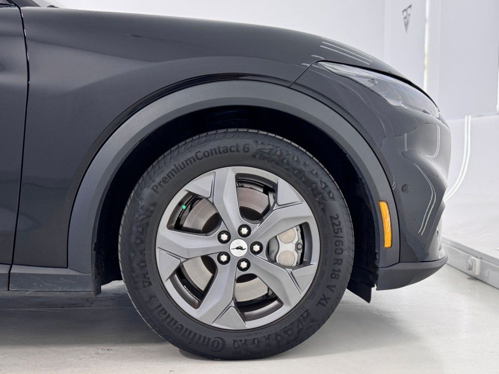 Ford Mustang Mach-E RWD Rango extendido