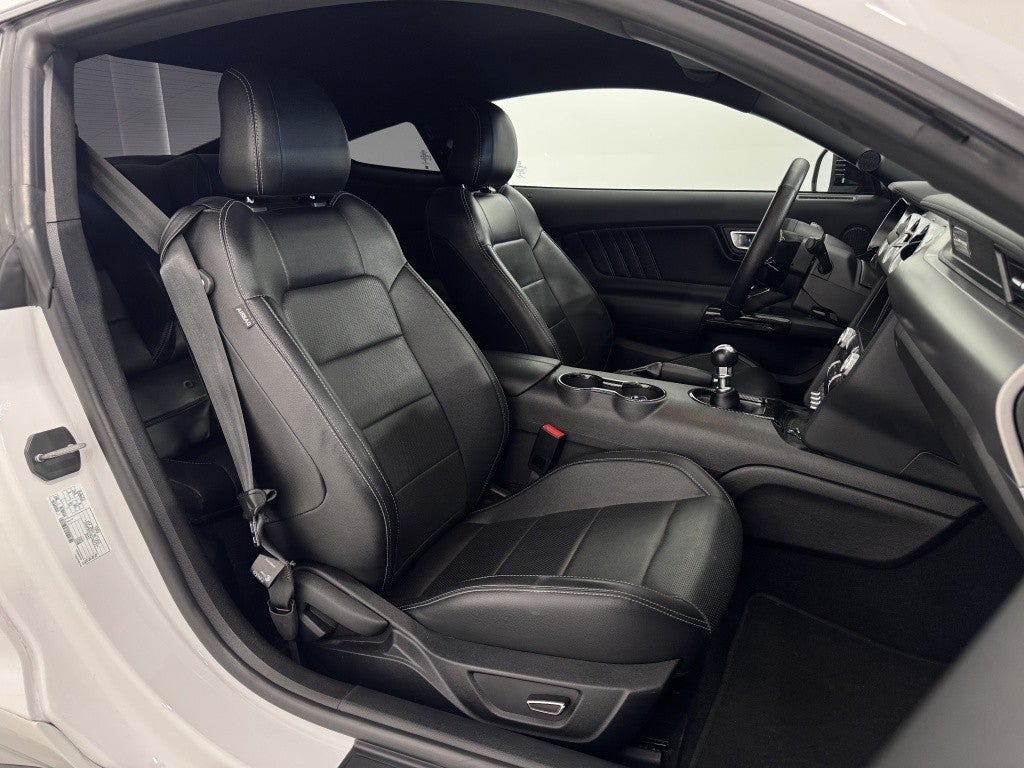 Ford Mustang Fastback 2.3 EcoBoost