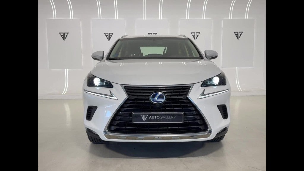 Lexus NX 300h Business Navigation 2WD