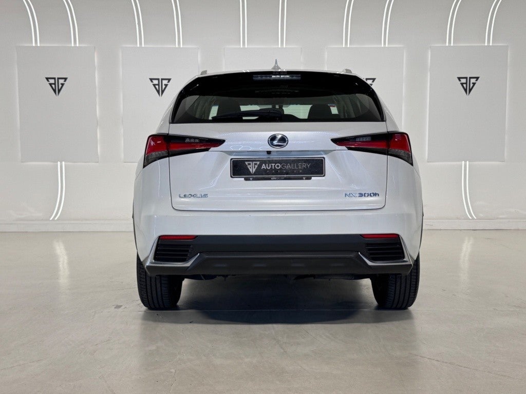 Lexus NX 300h Business Navigation 2WD