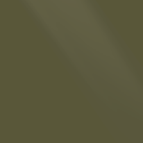 #415 Gloss Khaki Green