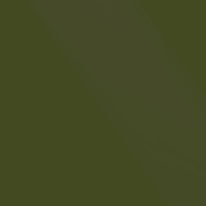 #506 Matte Military Green