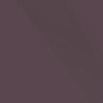 #554 Matte Aluminium Black Rose