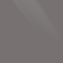 #558 Matte Aluminium Grey