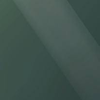 #560 Matte Forest Green Metallic